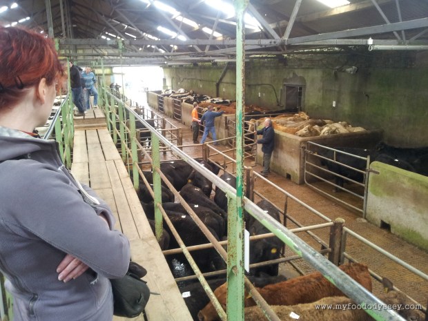 Bandon Cattle Mart, Ireland | www.myfoododyssey.com