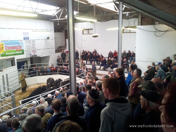 Bandon Cattle Mart, Ireland | www.myfoododyssey.com
