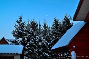 Winter Sky | www.myfoododyssey.com