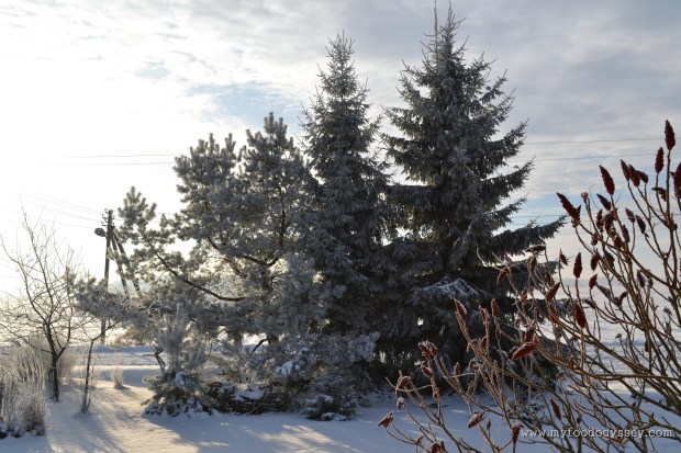 Winter | www.myfoododyssey.com