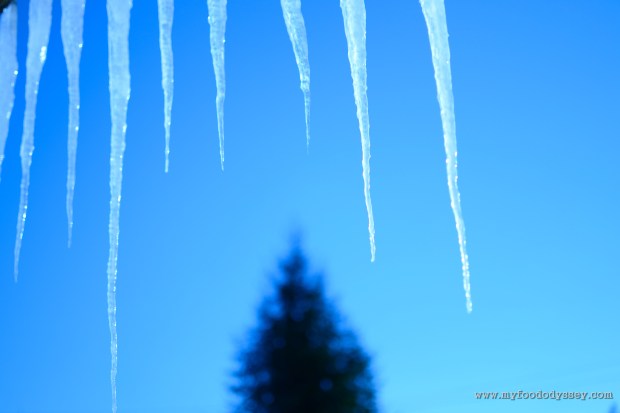 Winter icicles | www.myfoododyssey.com