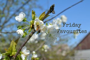 Apple Blossom & Bee | www.myfoododyssey.com