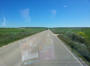 Rioja, Spain | www.myfoododyssey.com