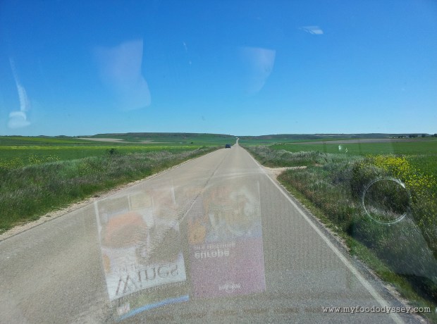 Rioja, Spain | www.myfoododyssey.com