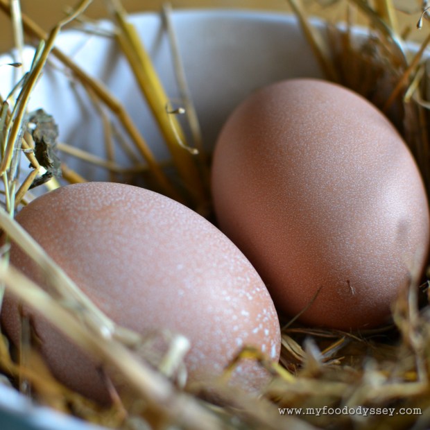First Eggs | www.myfoododyssey.com