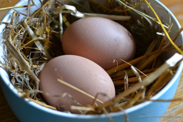 First Eggs | www.myfoododyssey.com