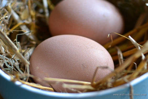 First Eggs | www.myfoododyssey.com