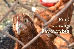 Curious Chicken | www.myfoododyssey.com