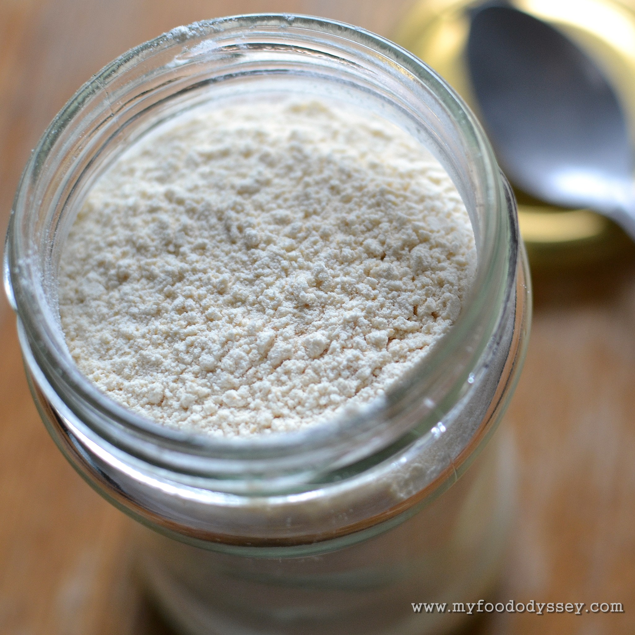 Homemade Garlic Powder [Recipe] | My Food Odyssey