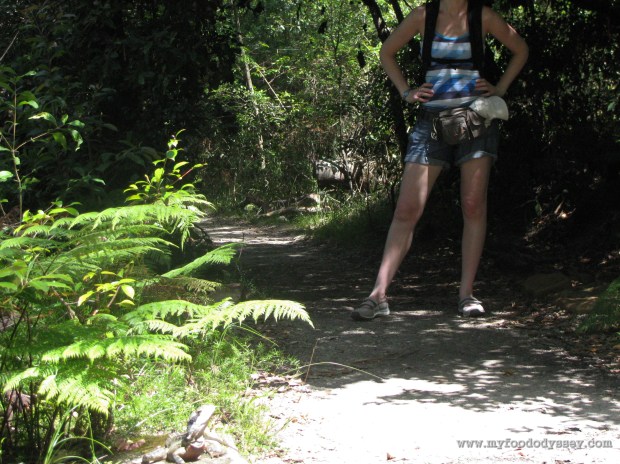 Lizard, Sydney Harbour National Park | www.myfoododyssey.com