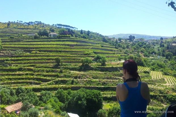 Duoro Valley, Porto | www.myfoododyssey.com