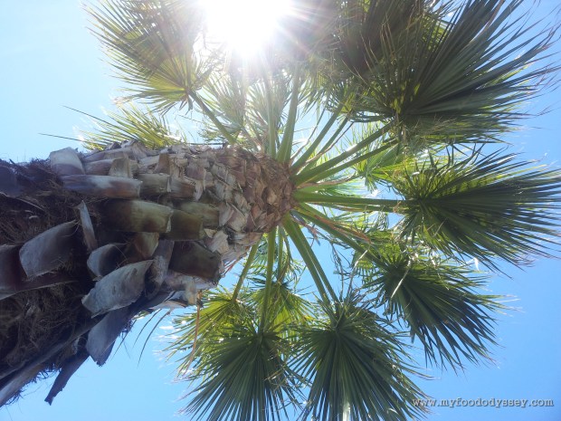 Coffee break, Portugal | www.myfoododyssey.com