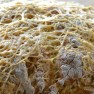 Homemade Cheesy Soda Bread | www.myfoododyssey.com