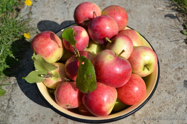 Apples | www.myfoododyssey.com