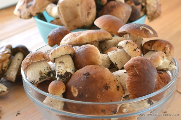 Mushroom Picking, Lithuania | www.myfoododyssey.com