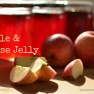 Apple & Anise Jelly | www.myfoododyssey.com