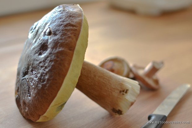 Mushroom Picking, Lithuania | www.myfoododyssey.com