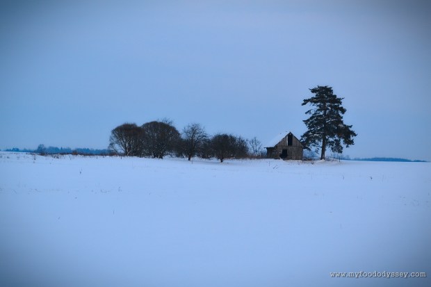Lone Cabin in the Snow, Lithuania | www.myfoododyssey.com