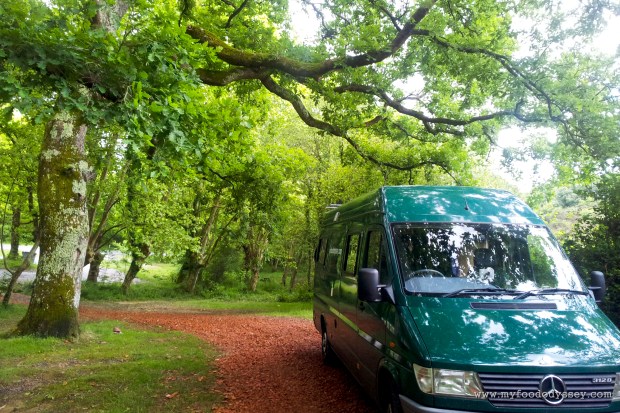 Camper Van | www.myfoododyssey.com