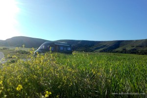 Camper Van | www.myfoododyssey.com