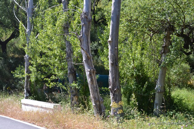 Camper Van | www.myfoododyssey.com