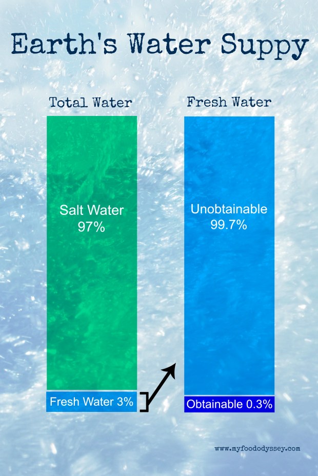 Earth's Water Supply | www.myfoododyssey.com