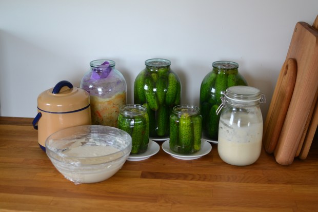 My fermentation station, pretty much a permanent feature in my kitchen. Here we have sauerkraut, pickles, sourdough and yoghurt. Featured IKEA items include HAMMARP worktop and KORKEN storage jar.
