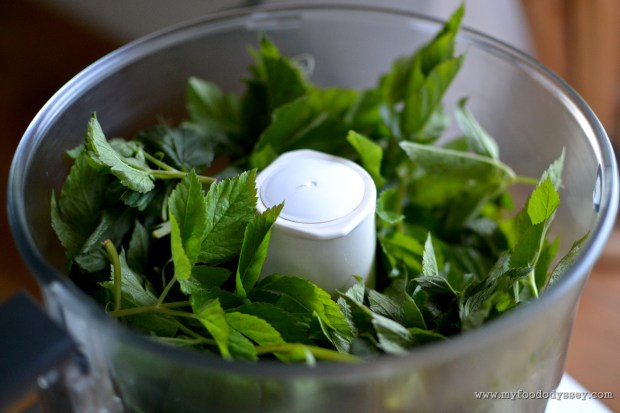 Ground Elder Pesto | www.myfoododyssey.com
