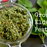 Ground Elder Pesto | www.myfoododyssey.com