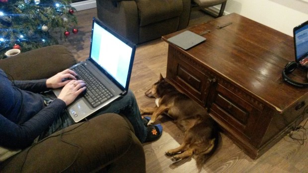 The dog asleep at my feet while I work in my favourite chair.  Featured IKEA items include POANG chair and INGOLF stool (holding the tea!)