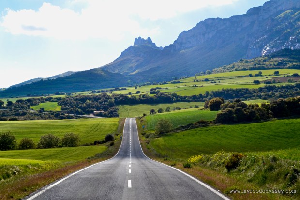 Rioja, Spain | www.myfoododyssey.com