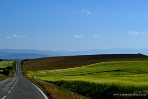 Rioja, Spain | www.myfoododyssey.com