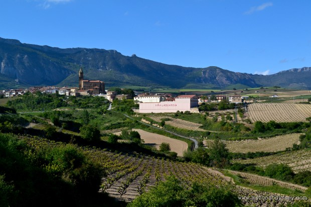 Rioja, Spain | www.myfoododyssey.com