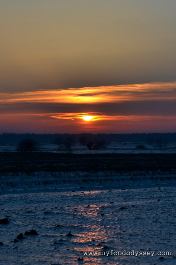 Winter Sunset, Lithuania | www.myfoododyssey.com