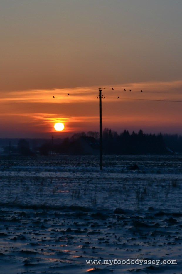 Winter Sunset, Lithuania | www.myfoododyssey.com