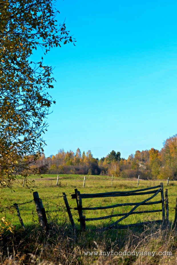 Country Life, Lithuania | www.myfoododyssey.com