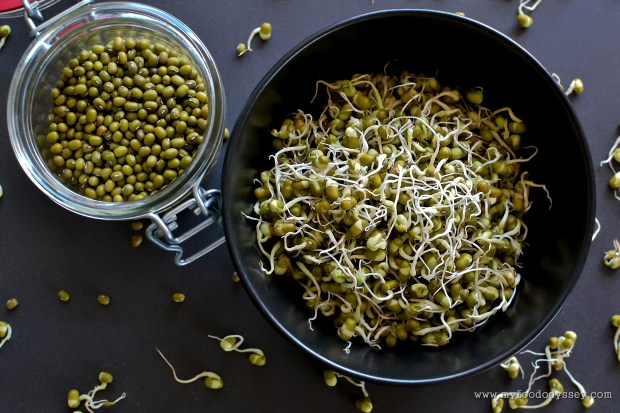 Mung Bean Sprouts | www.myfoododyssey.com