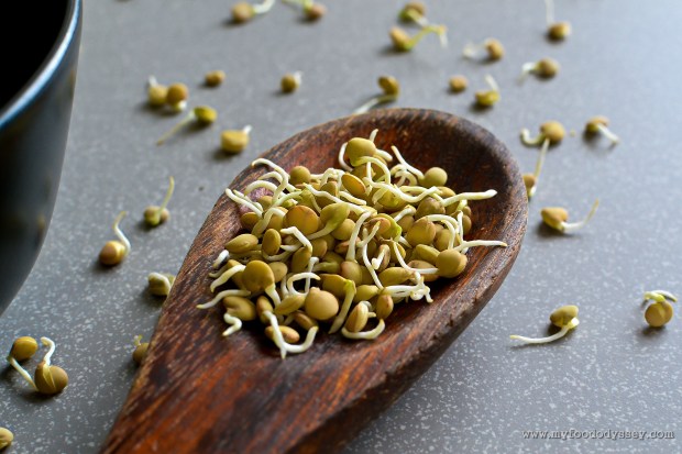 How to Sprout Lentils | www.myfoododyssey.com