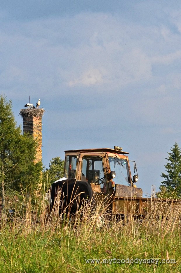 Tractor & Storks, Lithuania | www.myfoododyssey.com