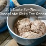 No-Churn Chocolate Chip Ice Cream | www.myfoododyssey.com