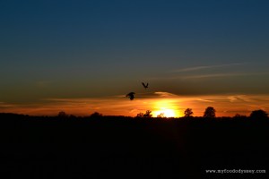 Halloween / Autumn Sunset | www.myfoododyssey.com