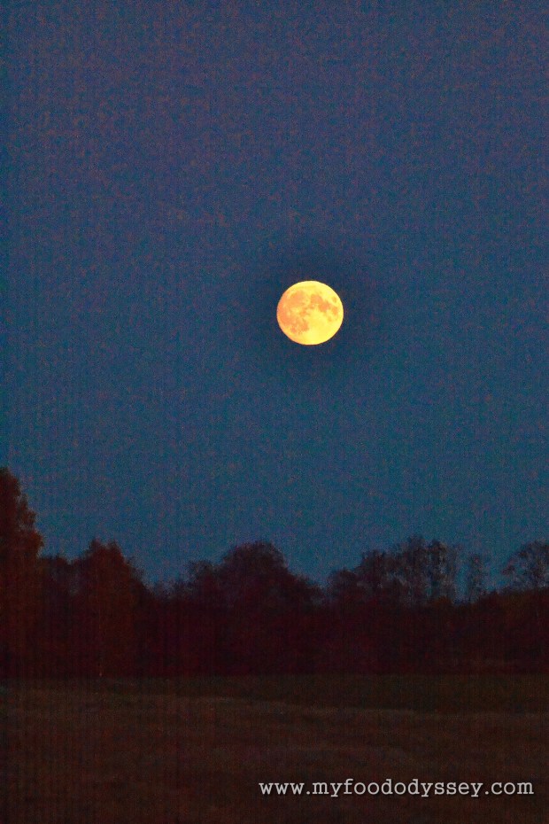 Halloween / Hunter's Moon | www.myfoododyssey.com