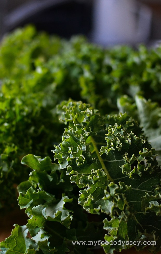 Kale Leaves | www.myfoododyssey.com