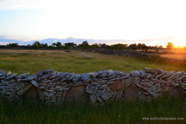 Stone Walls, Northern Spain | www.myfoododyssey.com