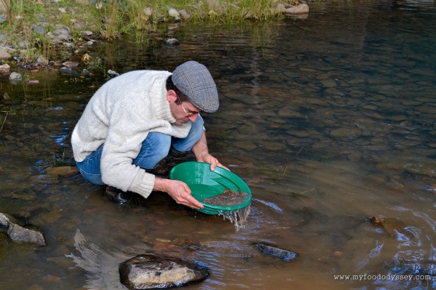 Panning for gold at Chesleigh Homestead in Sofala, Australia | www.myfoododyssey.com