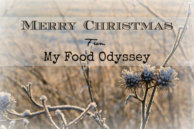Merry Christmas 2015 | www.myfoododyssey.com