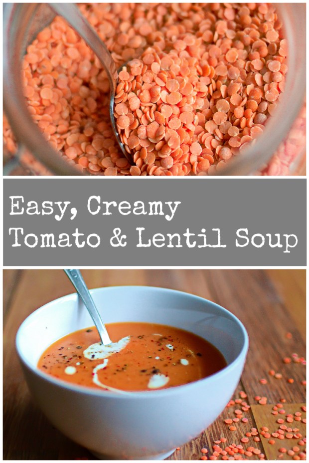Easy Tomato & Lentil Soup | www.myfoododyssey.com