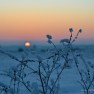 Winter Sunset, Lithuania | www.myfoododyssey.com