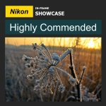 Nikon In-Frame Competition - Highly Commended | www.myfoododyssey.com