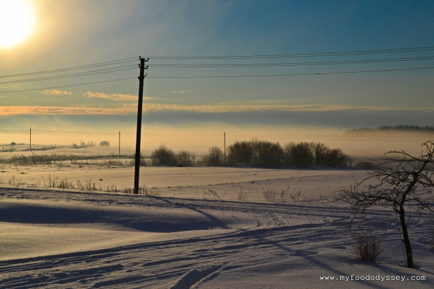Winter Mist Lithuania DSC_0013